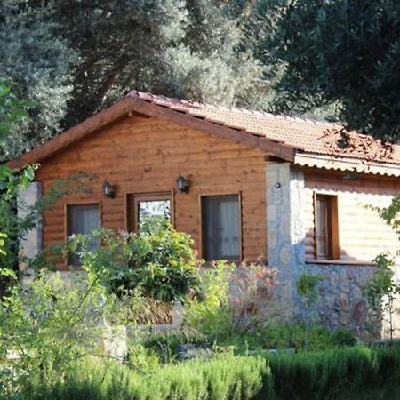 Datca Masal Gibi Exteriér fotografie