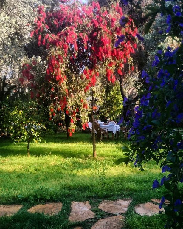 Datca Masal Gibi Exteriér fotografie