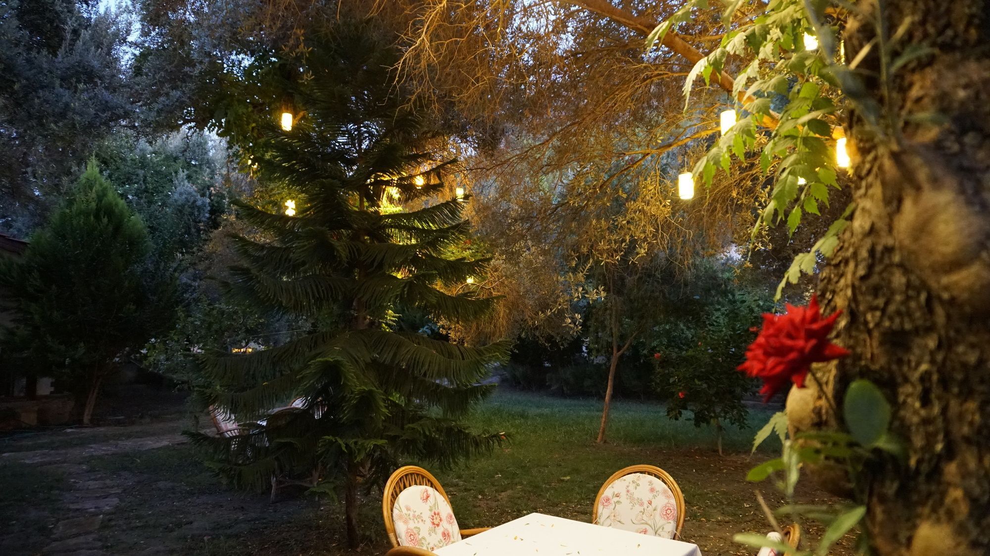 Datca Masal Gibi Exteriér fotografie